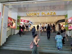 Lucky Plaza (D9), Shop House #505381121